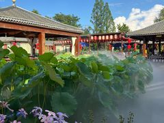 -醉香隆.山水庭院.湖北菜(东湖店)