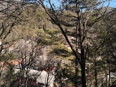 -潭柘寺景区