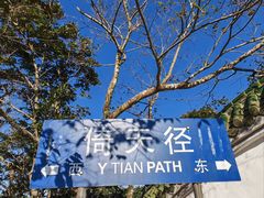 -梧桐山风景名胜区