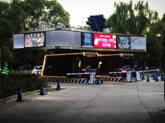 -枫花园汽车电影院(朝阳公园店)
