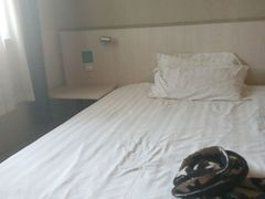 -白玉兰商务酒店(合肥金寨路中科大店)