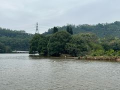 -深圳仙湖植物园