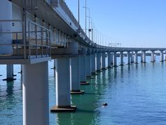 -星海湾跨海大桥