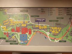 -香港大学