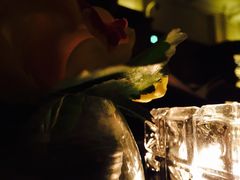 -LONG BAR 廊吧(外滩华尔道夫酒店)