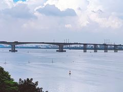 -大湾区中央湿地公园