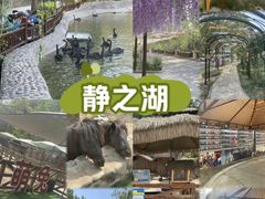 -静之湖度假区