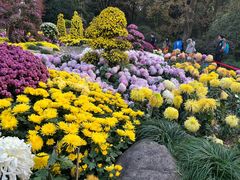 -杭州植物园
