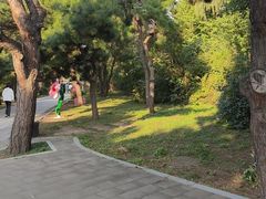 -北陵公园