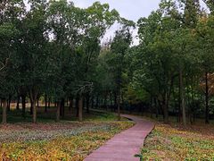 -同里国家湿地公园
