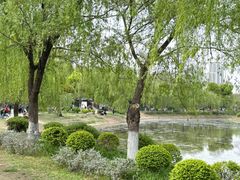 -堤角公园
