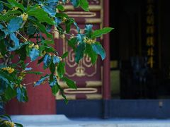 -颐和园