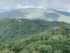 -三亚亚龙湾人间天堂鸟巢度假村