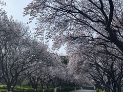 -山东师范大学(千佛山校区)