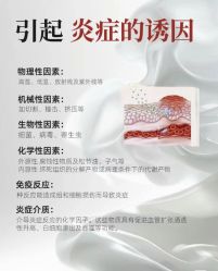 点击看大图 -玛莲朵·海菲秀冰珀科