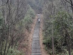 -桃花岭景区
