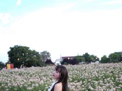 -荷兰花海