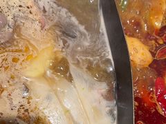 -朱光玉火锅馆(正弘城店)