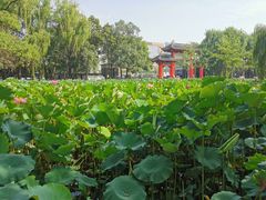-四川大学(望江校区)
