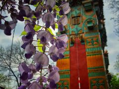 -北京国子监胡同