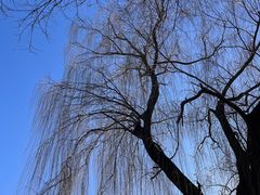 -中央戏剧学院(东城校区)