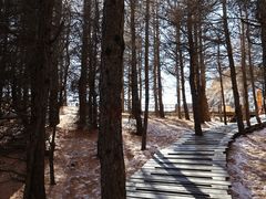 -苏木山森林公园