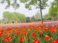 -郑州中国绿化博览园