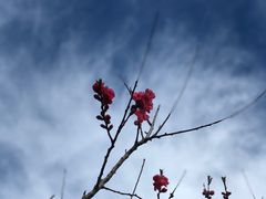 -新奥购物中心