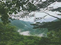 -五女峰国家森林公园