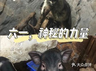 春天走了，夏天说，那我来啦️
