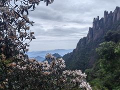 -三清山风景名胜区