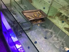 水产区-多迷烫菜广场(水心大厦店)