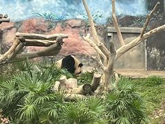 -石排湾郊野公园