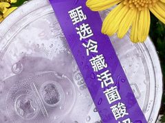 -茶屿水果茶(太古里店)