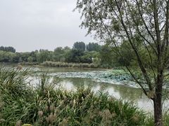 -Supine Bistro溯泮餐厅