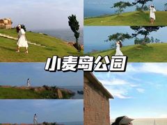 -青岛海滨风景区