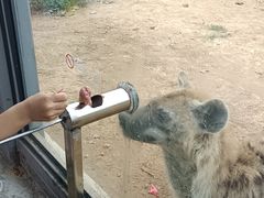 -西霞口神雕山野生动物世界