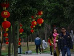 -天适樱花悠乐园