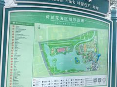 -荷兰花海