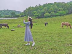 -大水川景区