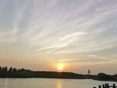 -南湖湿地公园