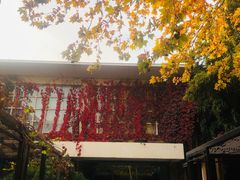 -春晖园度假酒店温泉