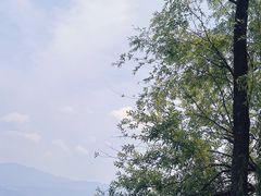 -西昌邛海湿地