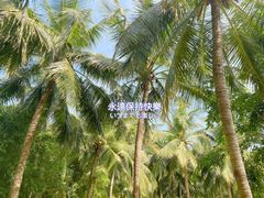 -万绿园