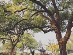 -杭州西湖柳莺里酒店·闻莺厅