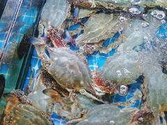 -金海湾海鲜排档(朱家尖店)