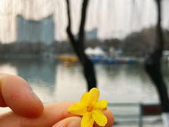 -莲湖公园