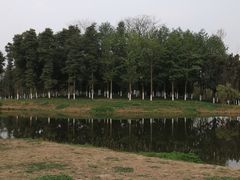 -白鹭湾湿地公园