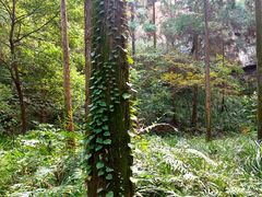 -狼山风景名胜区