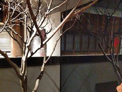 -黄山老妈·土菜(碧桂园店)